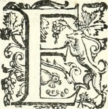 An illustration from Imprese illvstri di diuersi, 1586, leaf 323