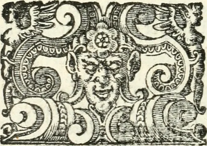 An illustration from Imprese illvstri di diuersi, 1586, leaf 325