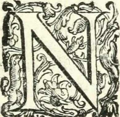 An illustration from Imprese illvstri di diuersi, 1586, leaf 326