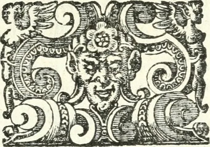 An illustration from Imprese illvstri di diuersi, 1586, leaf 328