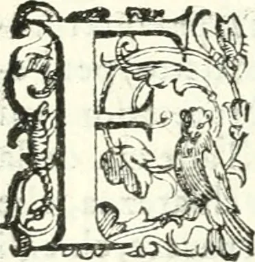 An illustration from Imprese illvstri di diuersi, 1586, leaf 338