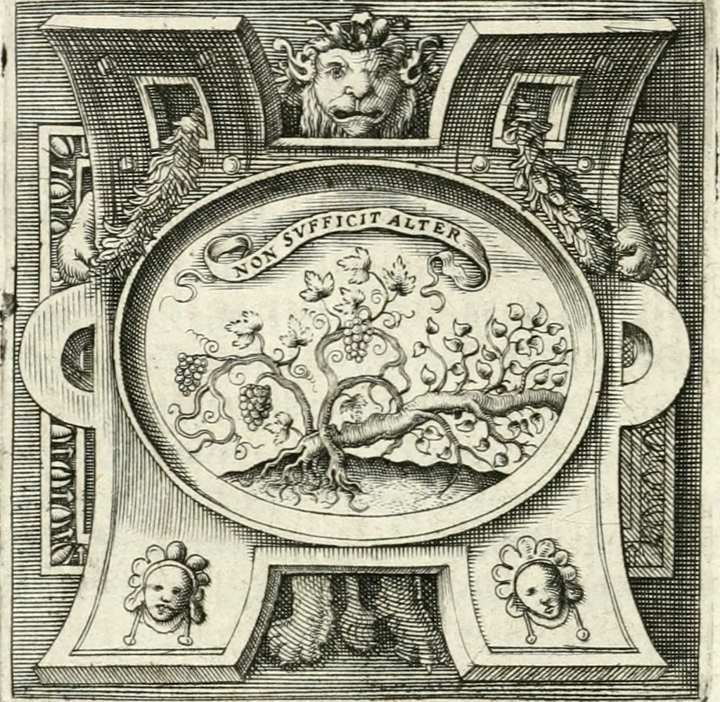 An illustration from Imprese illvstri di diuersi, 1586, leaf 341
