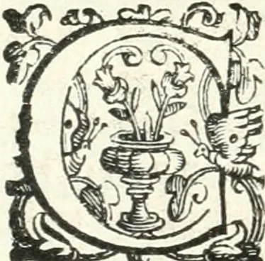 An illustration from Imprese illvstri di diuersi, 1586, leaf 341