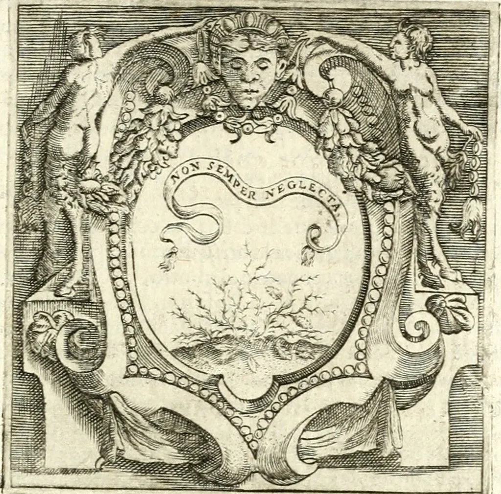 An illustration from Imprese illvstri di diuersi, 1586, leaf 348