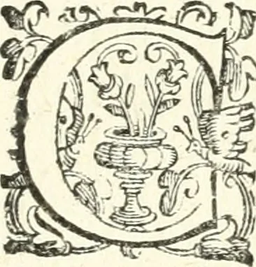 An illustration from Imprese illvstri di diuersi, 1586, leaf 348