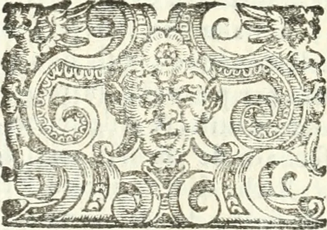 An illustration from Imprese illvstri di diuersi, 1586, leaf 39