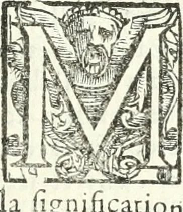 An illustration from Imprese illvstri di diuersi, 1586, leaf 46
