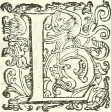 An illustration from Imprese illvstri di diuersi, 1586, leaf 52