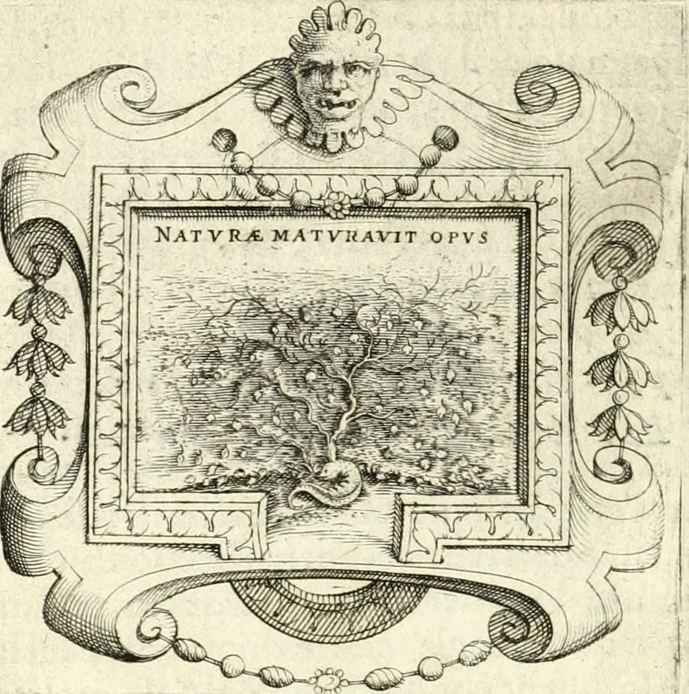 An illustration from Imprese illvstri di diuersi, 1586, leaf 61
