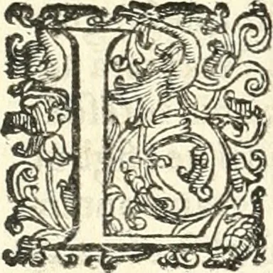 An illustration from Imprese illvstri di diuersi, 1586, leaf 61