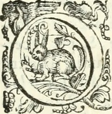 An illustration from Imprese illvstri di diuersi, 1586, leaf 64
