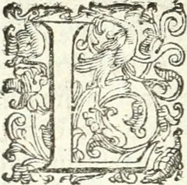 An illustration from Imprese illvstri di diuersi, 1586, leaf 67