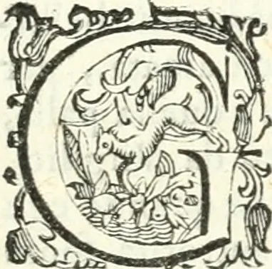 An illustration from Imprese illvstri di diuersi, 1586, leaf 70