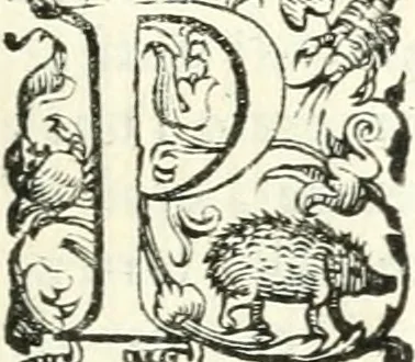 An illustration from Imprese illvstri di diuersi, 1586, leaf 82