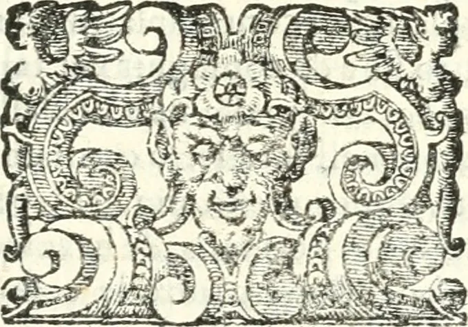 An illustration from Imprese illvstri di diuersi, 1586, leaf 90