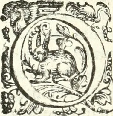 An illustration from Imprese illvstri di diuersi, 1586, leaf 91
