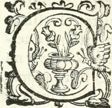 An illustration from Imprese illvstri di diuersi, 1586, leaf 97