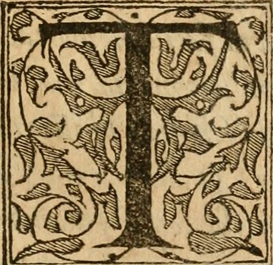 An illustration from Dialogo dell'imprese militari et amorose di monsignor Giovio, vescouo di Nocera : con vn ragionamento di messer Lodouico Domenichi nel medesimo soggetto ; con la tavola, 1559, leaf 10