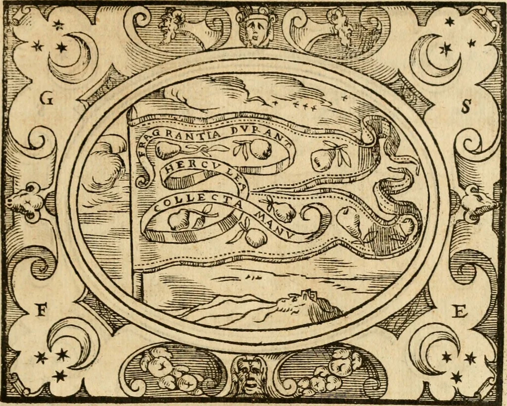 An illustration from Dialogo dell'imprese militari et amorose di monsignor Giovio, vescouo di Nocera : con vn ragionamento di messer Lodouico Domenichi nel medesimo soggetto ; con la tavola, 1559, leaf 116