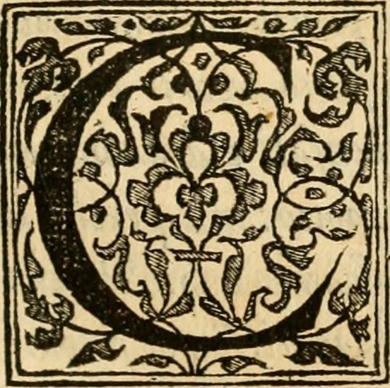 An illustration from Dialogo dell'imprese militari et amorose di monsignor Giovio, vescouo di Nocera : con vn ragionamento di messer Lodouico Domenichi nel medesimo soggetto ; con la tavola, 1559, leaf 152