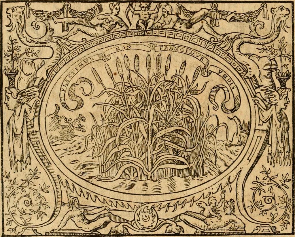 An illustration from Dialogo dell'imprese militari et amorose di monsignor Giovio, vescouo di Nocera : con vn ragionamento di messer Lodouico Domenichi nel medesimo soggetto ; con la tavola, 1559, leaf 69
