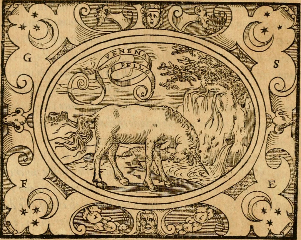 An illustration from Dialogo dell'imprese militari et amorose di monsignor Giovio, vescouo di Nocera : con vn ragionamento di messer Lodouico Domenichi nel medesimo soggetto ; con la tavola, 1559, leaf 71
