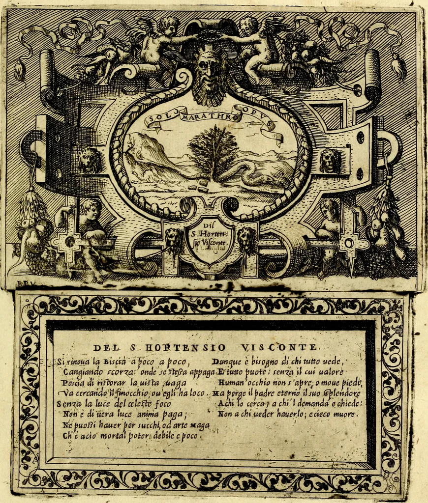An illustration from Imprese nobili et ingeniose di diversi prencipi, et d'altri personaggi illustri nell'arme et nelle lettere : le quali, col disegno loro estrinseco, dimostrano l'animo, et la buona ò mala fortuna de gli autori loro, 1583, leaf 136