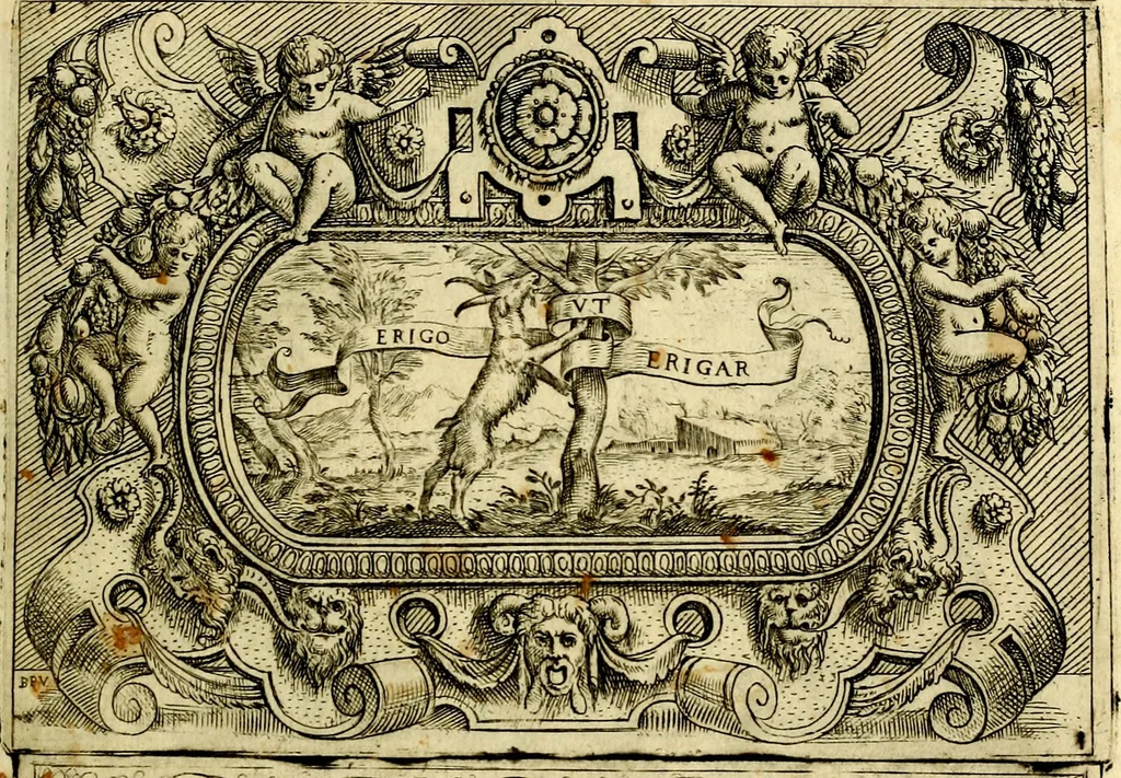 An illustration from Imprese nobili et ingeniose di diversi prencipi, et d'altri personaggi illustri nell'arme et nelle lettere : le quali, col disegno loro estrinseco, dimostrano l'animo, et la buona ò mala fortuna de gli autori loro, 1583, leaf 30