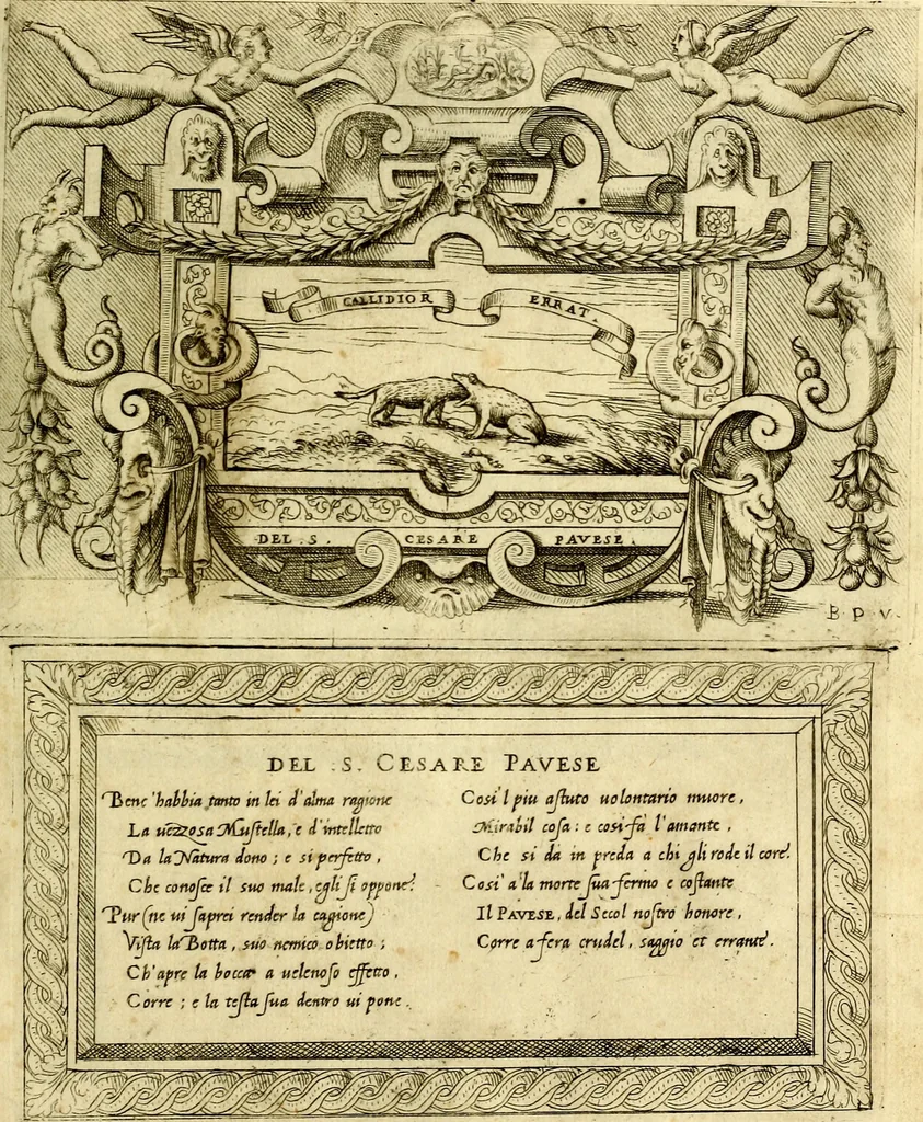 An illustration from Imprese nobili et ingeniose di diversi prencipi, et d'altri personaggi illustri nell'arme et nelle lettere : le quali, col disegno loro estrinseco, dimostrano l'animo, et la buona ò mala fortuna de gli autori loro, 1583, leaf 74