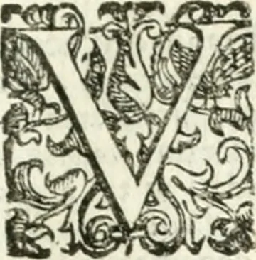 An illustration from Imprese sacre con triplicati discorsi illustrate & arricchite ..., 1625, leaf 194
