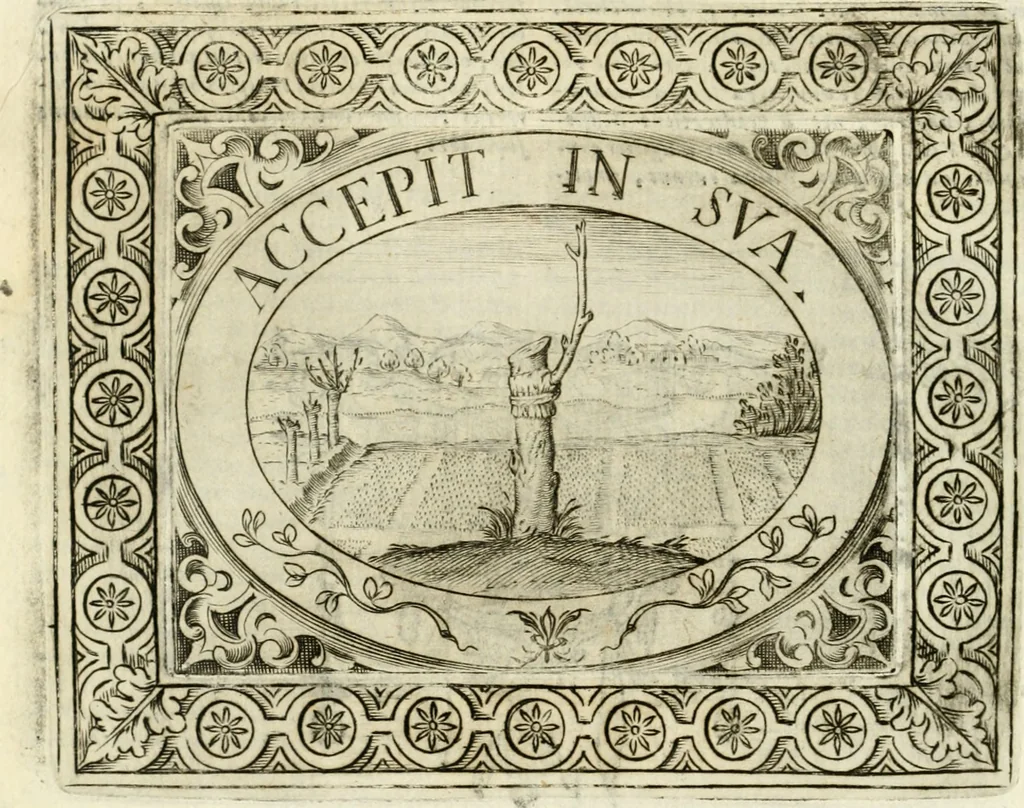 An illustration from Imprese sacre con triplicati discorsi illustrate & arricchite ..., 1625, leaf 219
