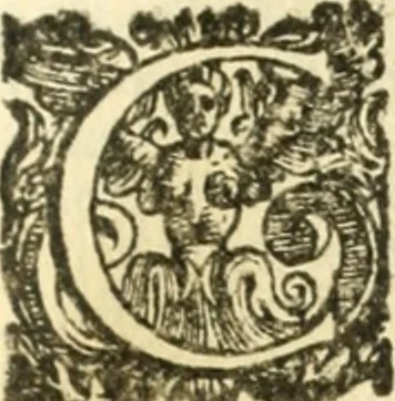 An illustration from Imprese sacre con triplicati discorsi illustrate & arricchite ..., 1625, leaf 248