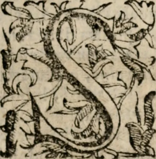An illustration from Imprese sacre con triplicati discorsi, illustrate & arricchite. Con le aggiuntione [sic] ultimamente fattevi dall'istesso autore et in questa terza impressione, con sei copiosissime tavole molto più che prima adornate, 1629, leaf 146