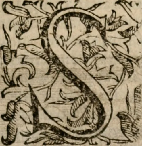 An illustration from Imprese sacre con triplicati discorsi, illustrate & arricchite. Con le aggiuntione [sic] ultimamente fattevi dall'istesso autore et in questa terza impressione, con sei copiosissime tavole molto più che prima adornate, 1629, leaf 164