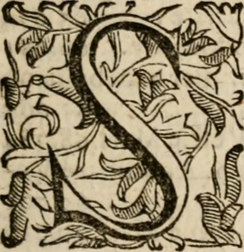 An illustration from Imprese sacre con triplicati discorsi, illustrate & arricchite. Con le aggiuntione [sic] ultimamente fattevi dall'istesso autore et in questa terza impressione, con sei copiosissime tavole molto più che prima adornate, 1629, leaf 18