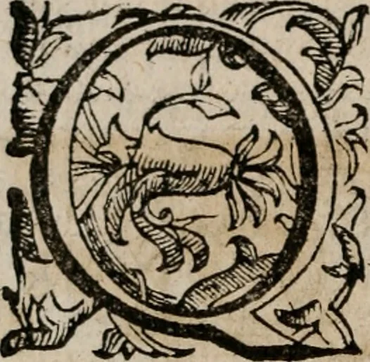 An illustration from Imprese sacre con triplicati discorsi, illustrate & arricchite. Con le aggiuntione [sic] ultimamente fattevi dall'istesso autore et in questa terza impressione, con sei copiosissime tavole molto più che prima adornate, 1629, leaf 181
