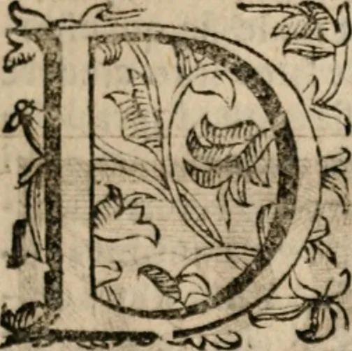 An illustration from Imprese sacre con triplicati discorsi, illustrate & arricchite. Con le aggiuntione [sic] ultimamente fattevi dall'istesso autore et in questa terza impressione, con sei copiosissime tavole molto più che prima adornate, 1629, leaf 258