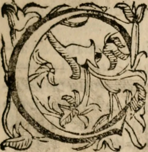An illustration from Imprese sacre con triplicati discorsi, illustrate & arricchite. Con le aggiuntione [sic] ultimamente fattevi dall'istesso autore et in questa terza impressione, con sei copiosissime tavole molto più che prima adornate, 1629, leaf 326