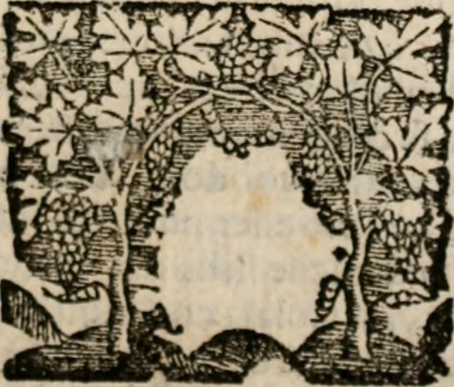 An illustration from Imprese sacre con triplicati discorsi, illustrate & arricchite. Con le aggiuntione [sic] ultimamente fattevi dall'istesso autore et in questa terza impressione, con sei copiosissime tavole molto più che prima adornate, 1629, leaf 388