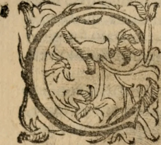 An illustration from Imprese sacre con triplicati discorsi, illustrate & arricchite. Con le aggiuntione [sic] ultimamente fattevi dall'istesso autore et in questa terza impressione, con sei copiosissime tavole molto più che prima adornate, 1629, leaf 46