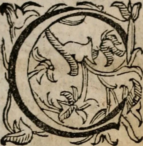 An illustration from Imprese sacre con triplicati discorsi, illustrate & arricchite. Con le aggiuntione [sic] ultimamente fattevi dall'istesso autore et in questa terza impressione, con sei copiosissime tavole molto più che prima adornate, 1629, leaf 477