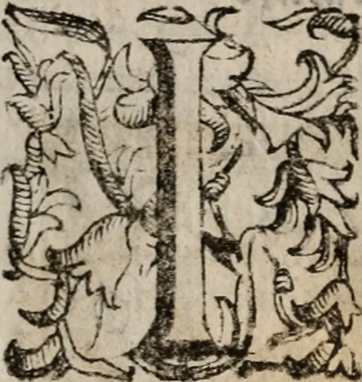 An illustration from Imprese sacre con triplicati discorsi, illustrate & arricchite. Con le aggiuntione [sic] ultimamente fattevi dall'istesso autore et in questa terza impressione, con sei copiosissime tavole molto più che prima adornate, 1629, leaf 495
