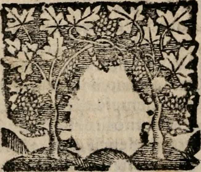 An illustration from Imprese sacre con triplicati discorsi, illustrate & arricchite. Con le aggiuntione [sic] ultimamente fattevi dall'istesso autore et in questa terza impressione, con sei copiosissime tavole molto più che prima adornate, 1629, leaf 527