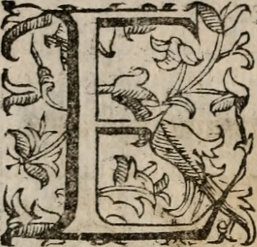 An illustration from Imprese sacre con triplicati discorsi, illustrate & arricchite. Con le aggiuntione [sic] ultimamente fattevi dall'istesso autore et in questa terza impressione, con sei copiosissime tavole molto più che prima adornate, 1629, leaf 529