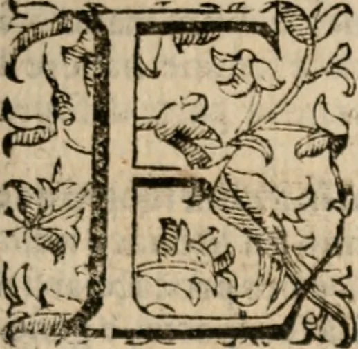 An illustration from Imprese sacre con triplicati discorsi, illustrate & arricchite. Con le aggiuntione [sic] ultimamente fattevi dall'istesso autore et in questa terza impressione, con sei copiosissime tavole molto più che prima adornate, 1629, leaf 594