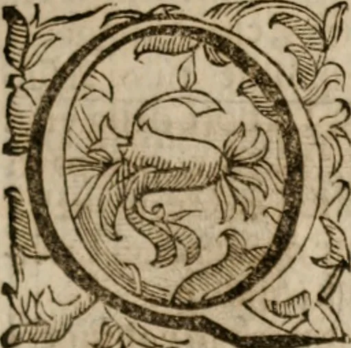 An illustration from Imprese sacre con triplicati discorsi, illustrate & arricchite. Con le aggiuntione [sic] ultimamente fattevi dall'istesso autore et in questa terza impressione, con sei copiosissime tavole molto più che prima adornate, 1629, leaf 68