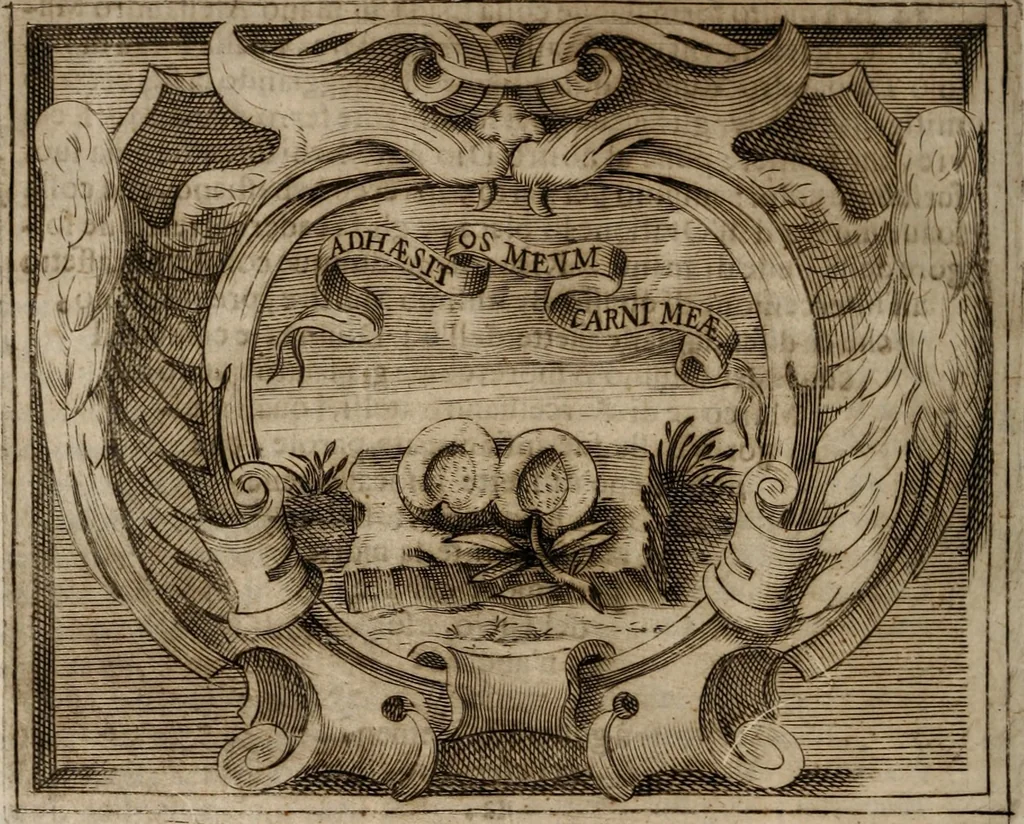 An illustration from Imprese sacre con triplicati discorsi, illustrate & arricchite. Con le aggiuntione [sic] ultimamente fattevi dall'istesso autore et in questa terza impressione, con sei copiosissime tavole molto più che prima adornate, 1629, leaf 707