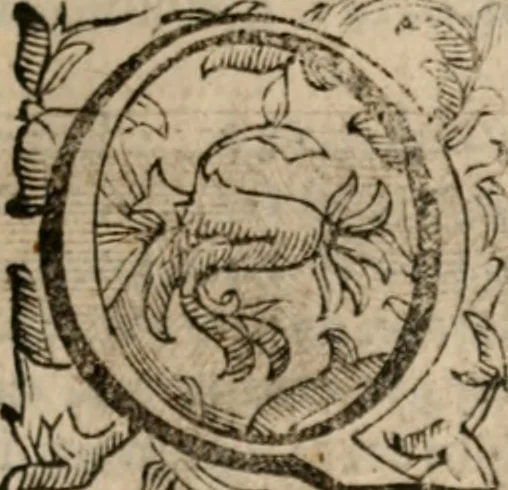 An illustration from Imprese sacre con triplicati discorsi, illustrate & arricchite. Con le aggiuntione [sic] ultimamente fattevi dall'istesso autore et in questa terza impressione, con sei copiosissime tavole molto più che prima adornate, 1629, leaf 708