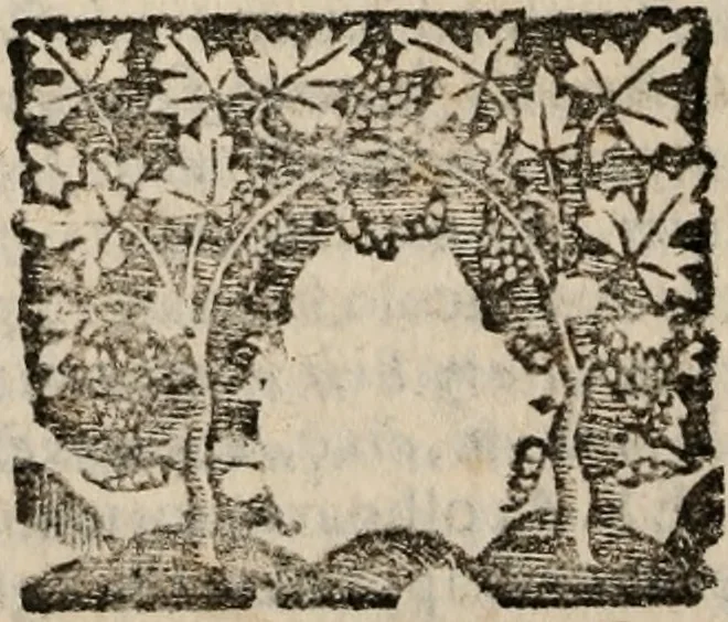 An illustration from Imprese sacre con triplicati discorsi, illustrate & arricchite. Con le aggiuntione [sic] ultimamente fattevi dall'istesso autore et in questa terza impressione, con sei copiosissime tavole molto più che prima adornate, 1629, leaf 739