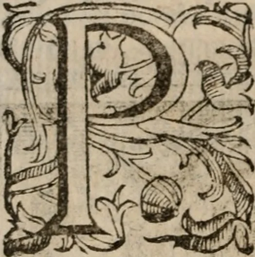 An illustration from Imprese sacre con triplicati discorsi, illustrate & arricchite. Con le aggiuntione [sic] ultimamente fattevi dall'istesso autore et in questa terza impressione, con sei copiosissime tavole molto più che prima adornate, 1629, leaf 741